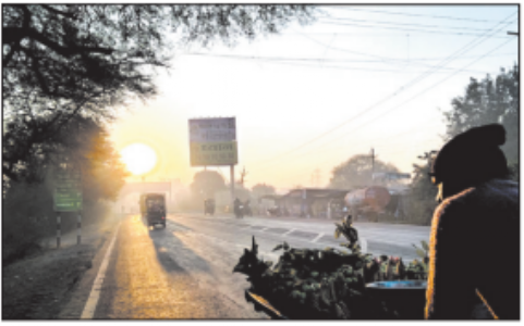 Cold wave grips several distts; Shahdol shivers at 3.80 C