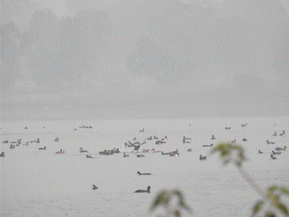 Kopra Reservoir earns