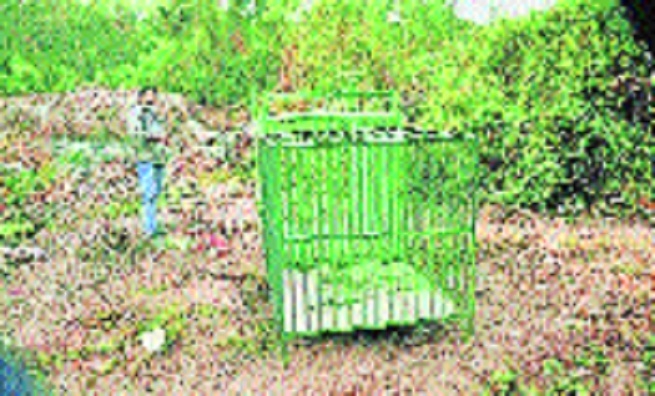 Leopard sighted in OFAJ area TTC installs cage 