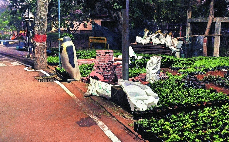 footpath at the Park