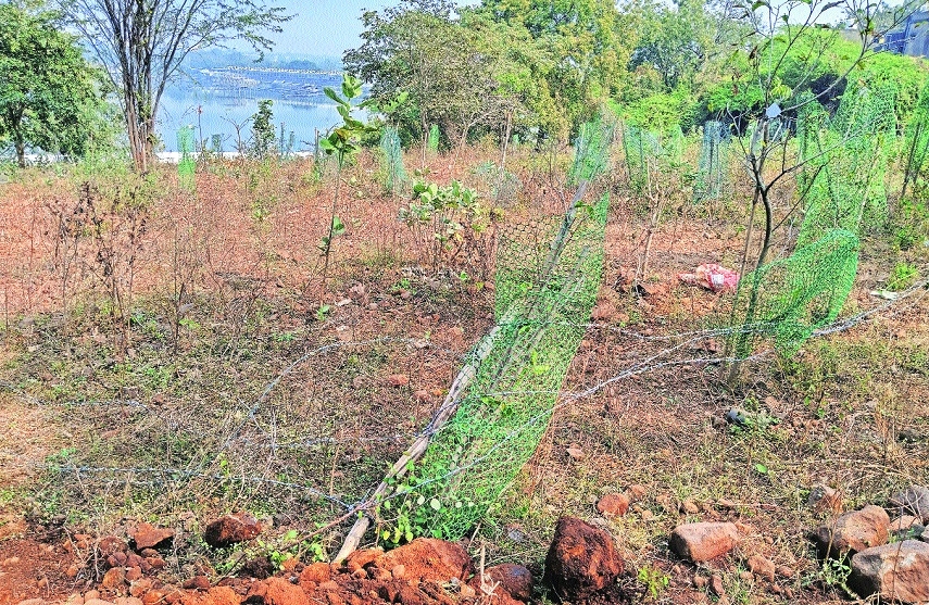 inspects Futala catchment site