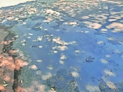 Neglected road stretch to Nag Bhavan worries commuters