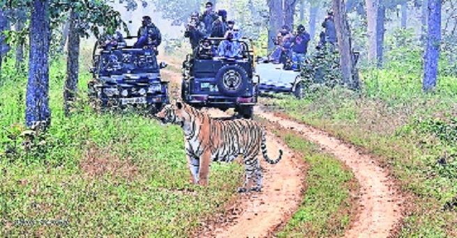 Forest Deptts Wildlife Wing gets unified control of NNTR