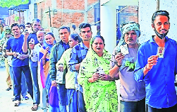 NMC to install boards at 335 places 