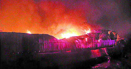 Massive blaze guts timber market
