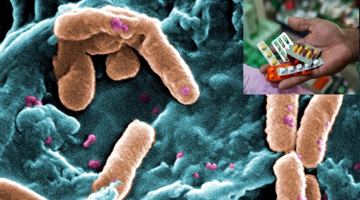 Antimicrobial resistance major health challenge Experts