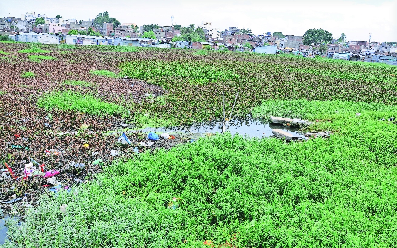 Prabhag 20 represents the extent of backlog of civic development 