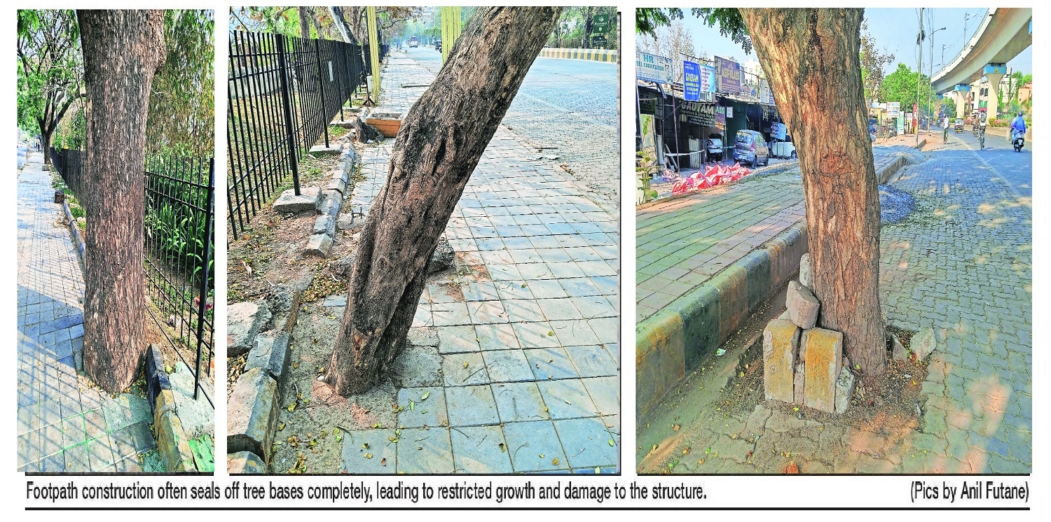 Now concrete grip chokes