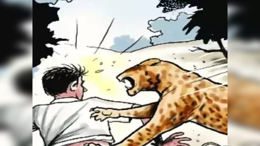 Upsurge in human-animal conflict in city