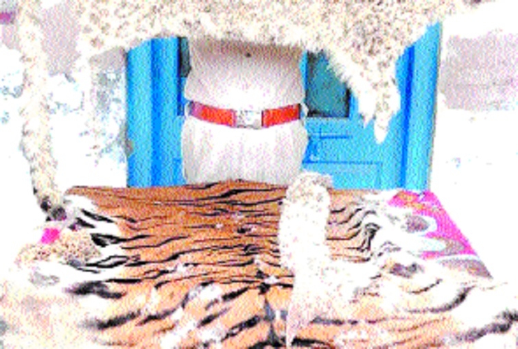 International wildlife criminal involved in poaching illegal trade arrested in Sikkim