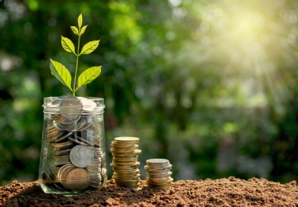 Natural Resources: The new money?