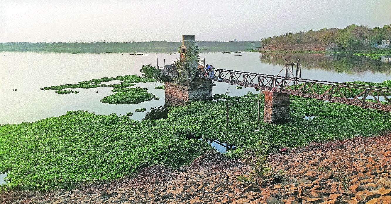 AMBAZARI LAKE HIGH on WEED 2