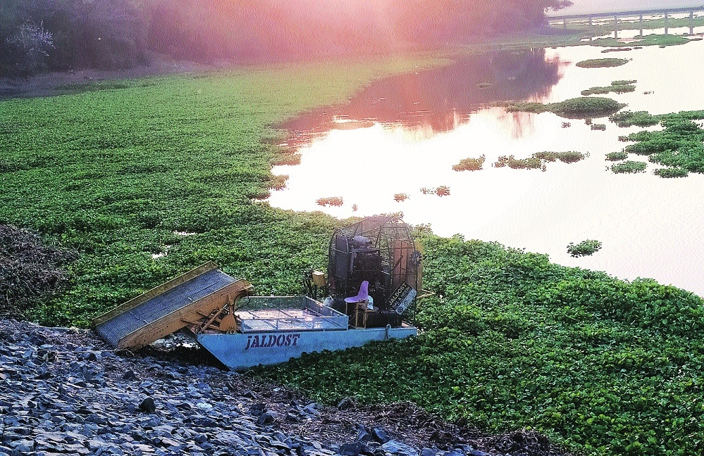 AMBAZARI LAKE HIGH on WEED 