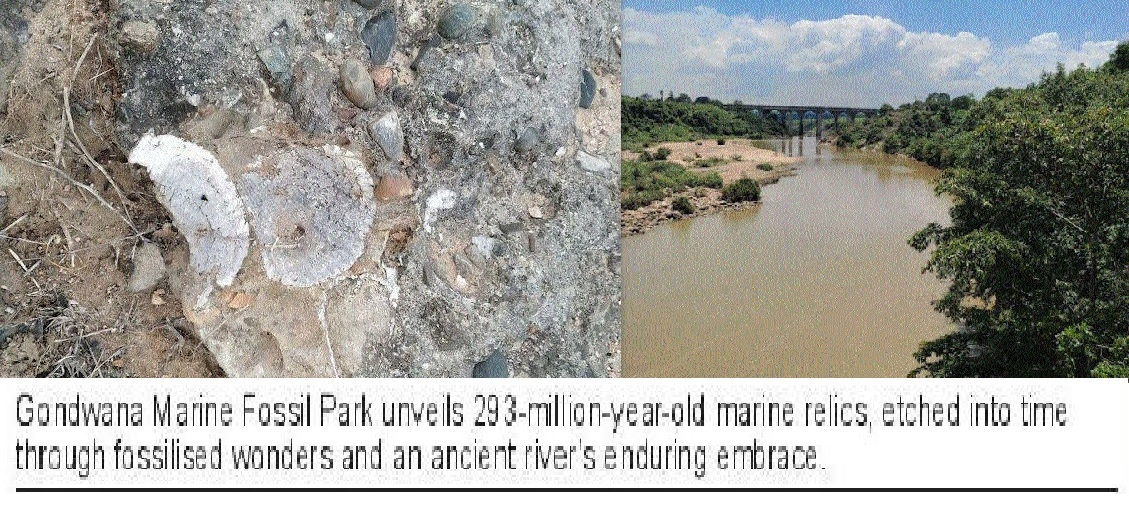 Gondwana Marine Fossil Park unveils 293-million-year-old 