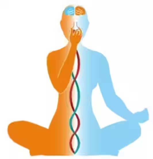 Nuances Of Pranayamas