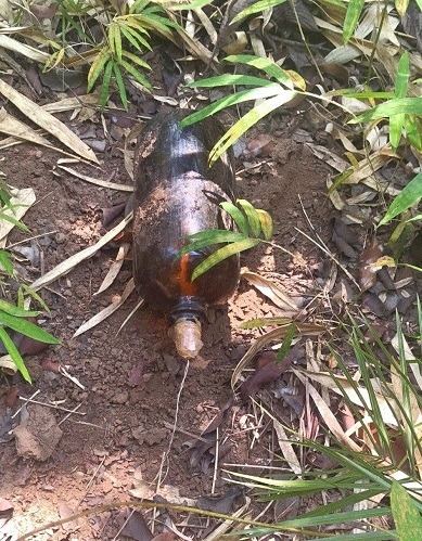 CRPF foils Naxal attempt