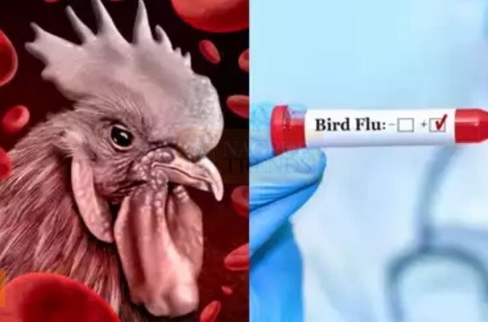 bada tajbagh area lane