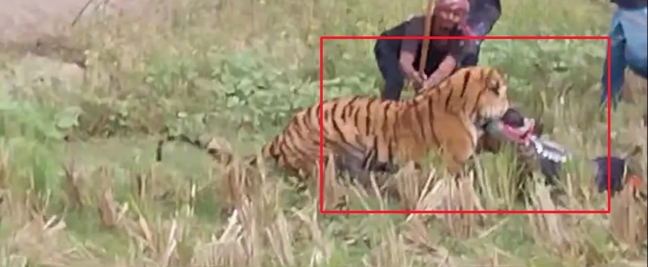  Man-animal Conflict State Government paid 