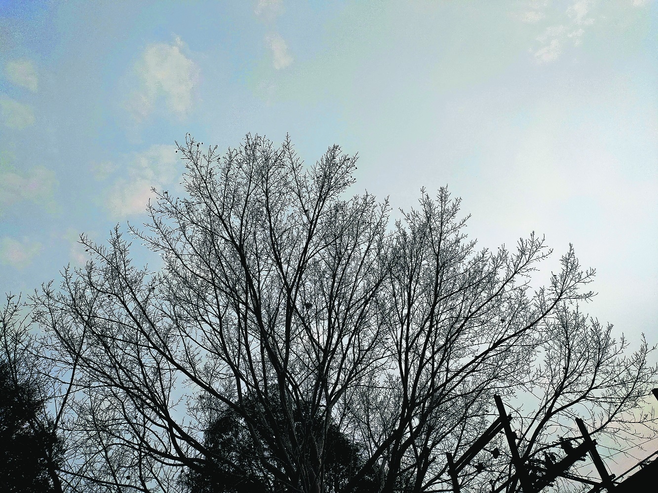 Orange alert issued for 4 distts in