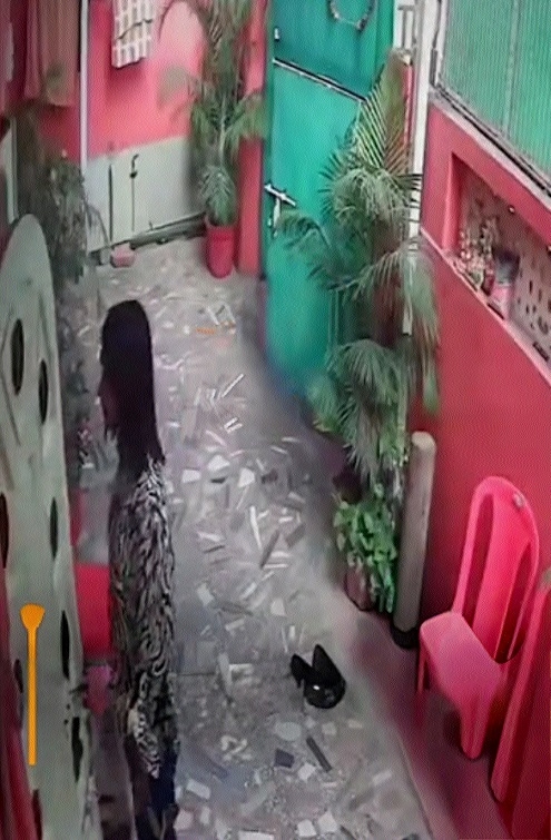 A still from video footage 