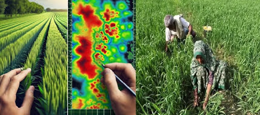 State to rollout NDVI for real time 