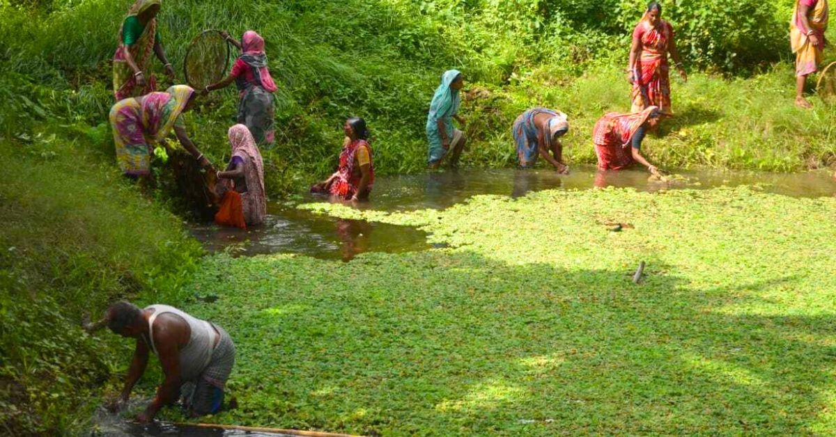 salt water intrudsion in sundarban