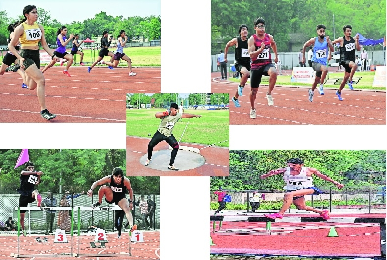 Ayesha Sanyogita shine 