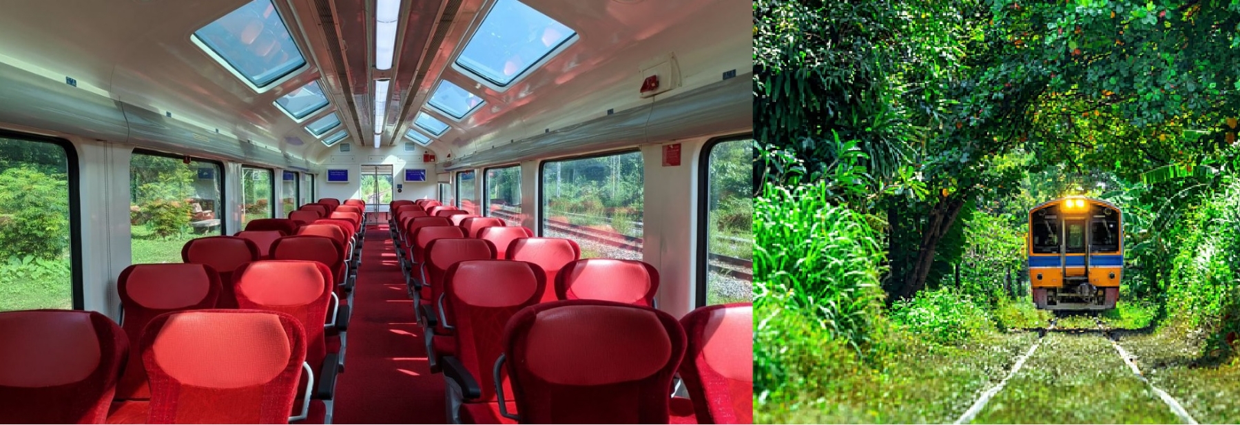 Vistadome jungle safari train