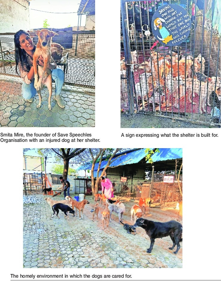 speechless got a home