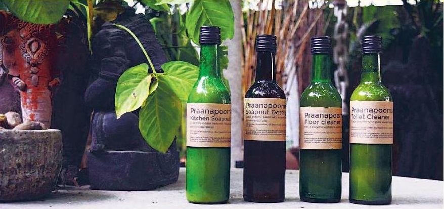 Making organic cleaners from fruit peels 