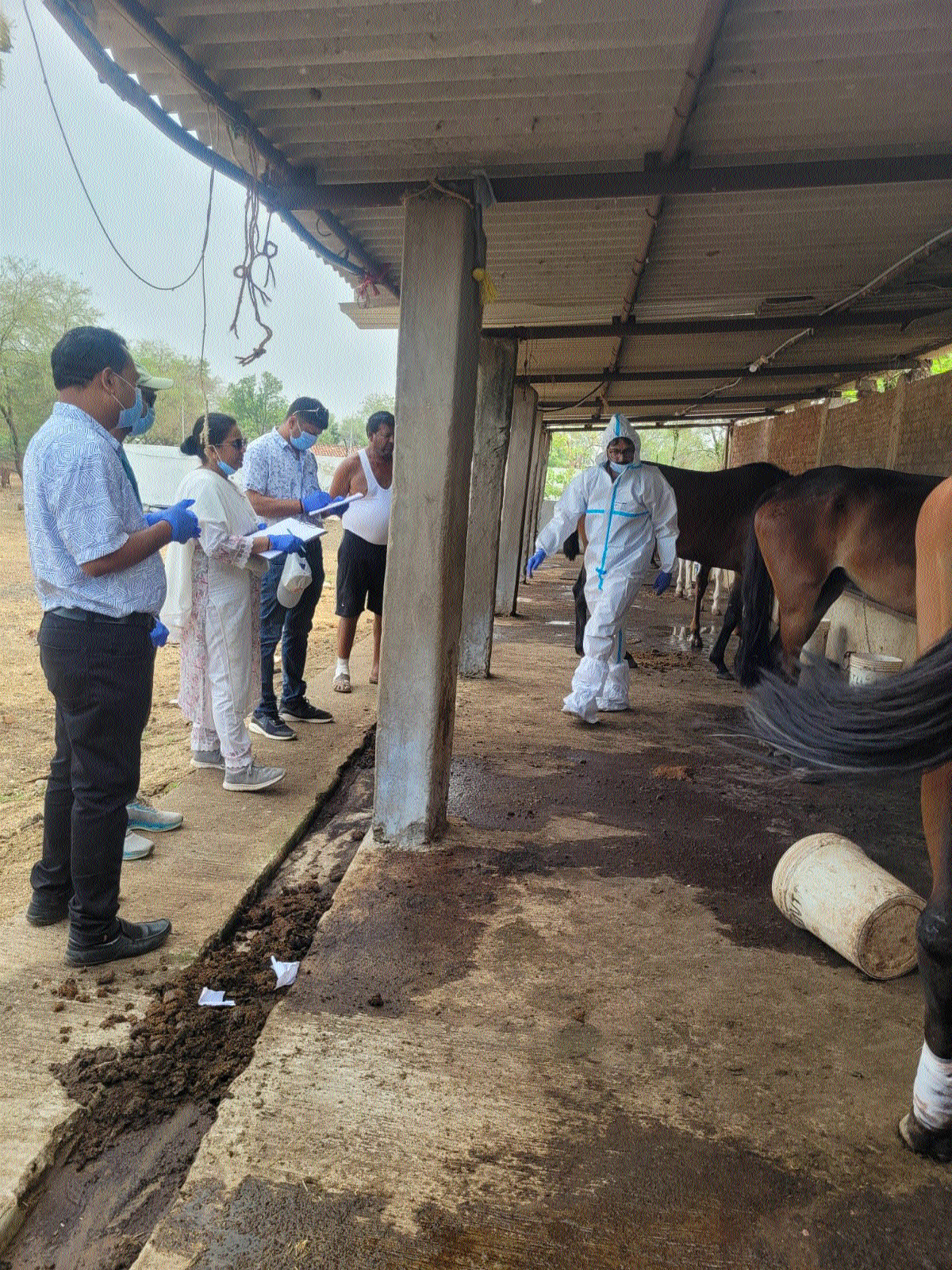Maneka Gandhi lauds Collector...
