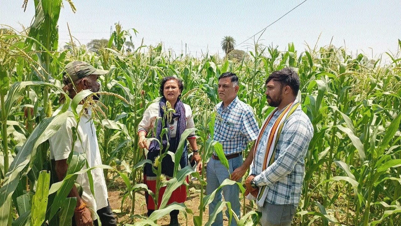 Officials of Agriculture Department inspect the