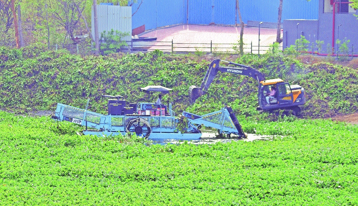 Aquatic Weed Harvester