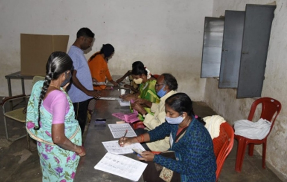 Local body elections