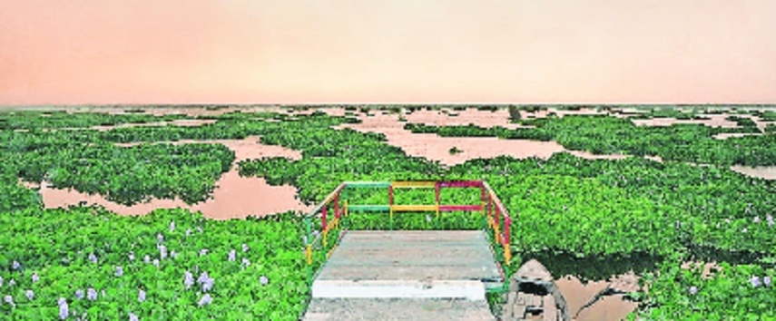 New life for Nathmalpur Bhagad