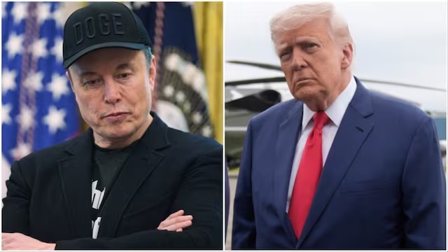 Musk regrets I regret some 