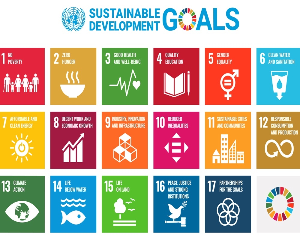 India enters top 100 in global SDG rankings for 1st time