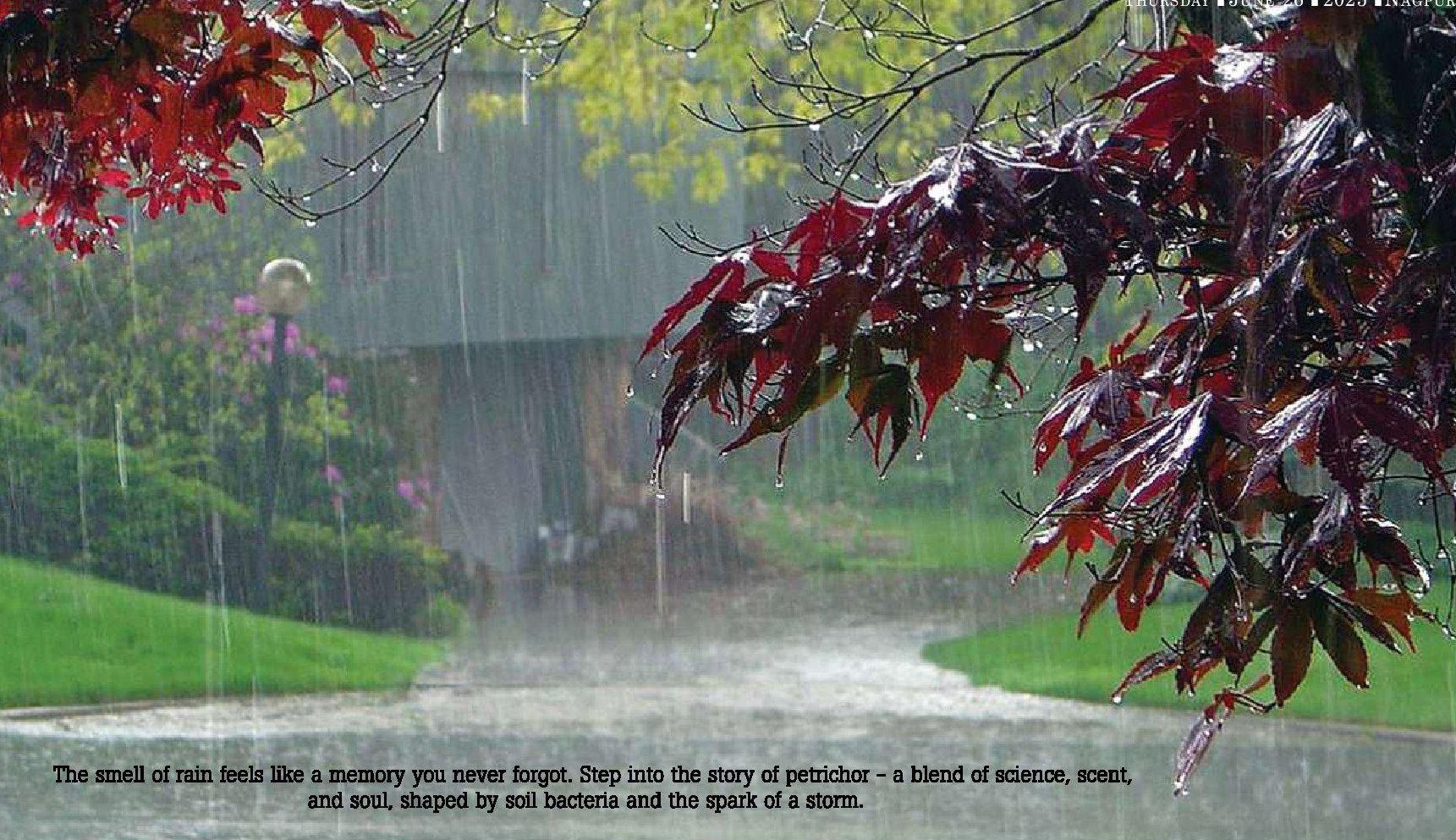 That earthy rain smell we all loved