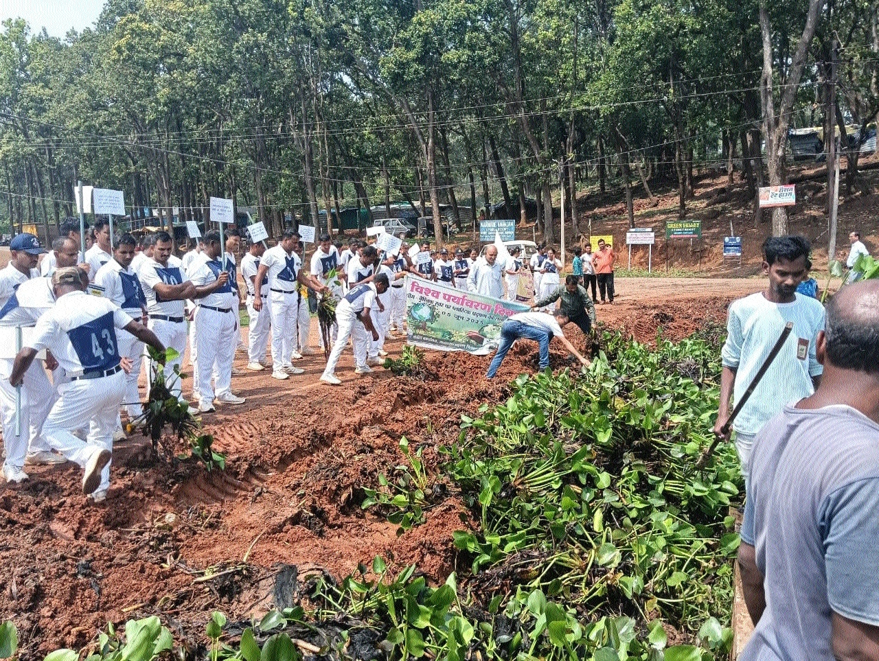 A view of the plantation drive held at Amarkantak