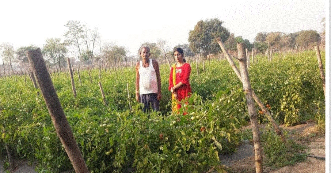 Farmer benifiting from vegetable area expansion programme