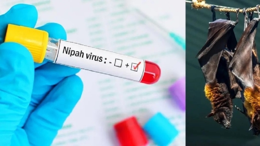 Second suspected Nipah death in Kerala