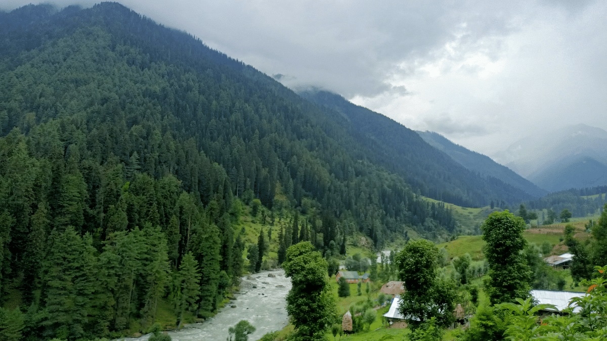 million-yr-old fossil site