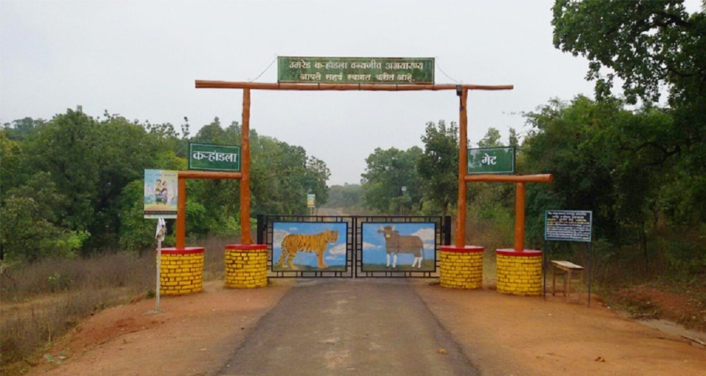 Umred-Paoni-Karhandla Sanctuary