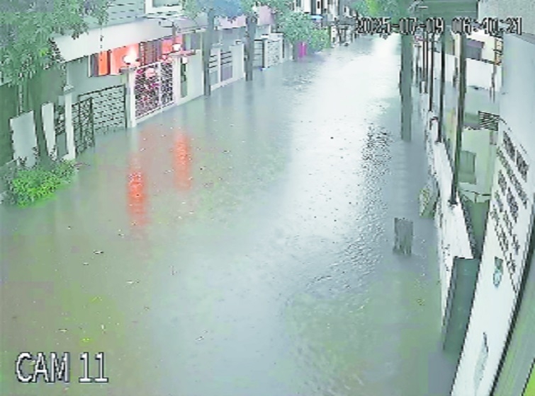 Water-logging NMC turning Nelson