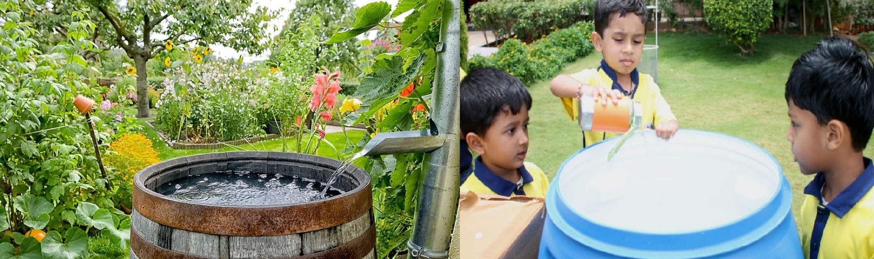 Teaching Kids Rainwater Harvesting