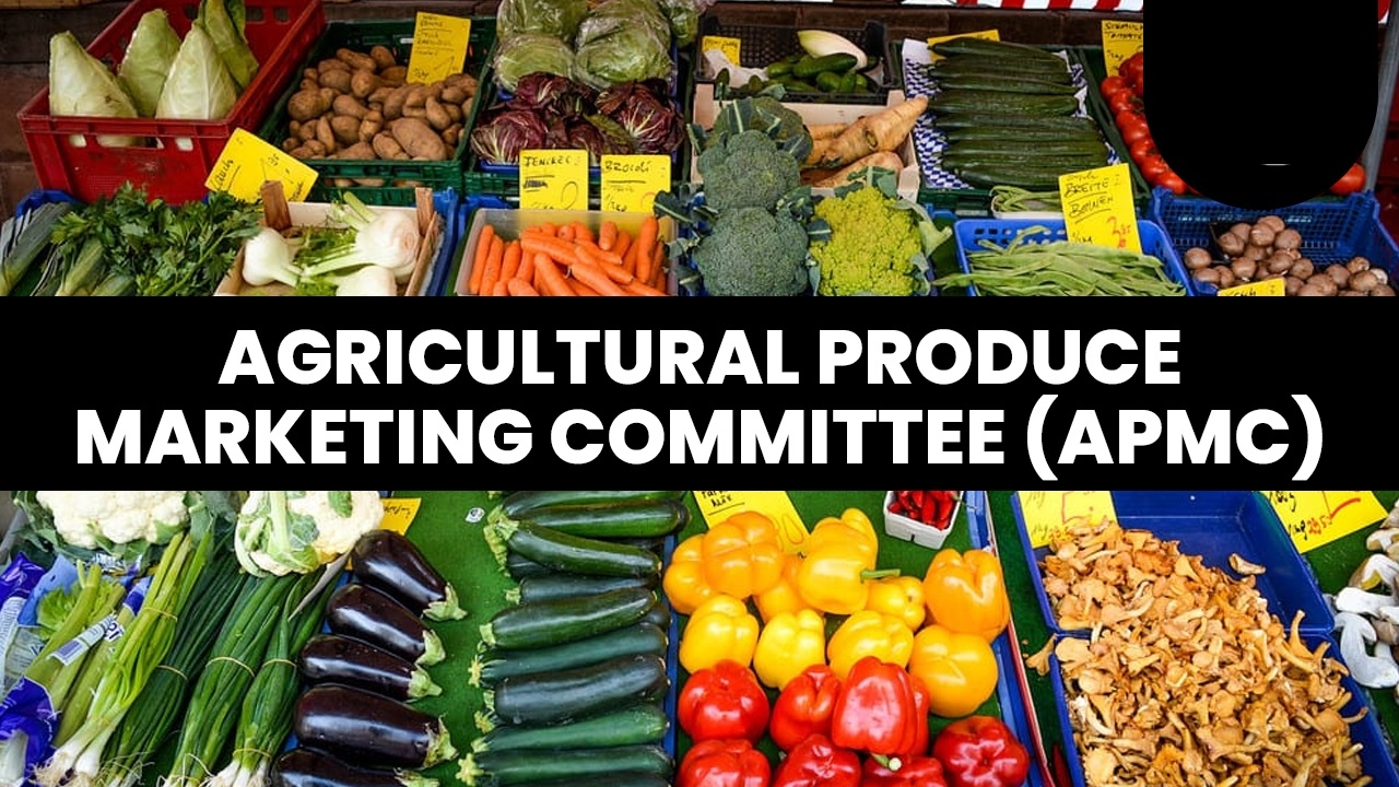 Agriculture Produce Marketing Committee