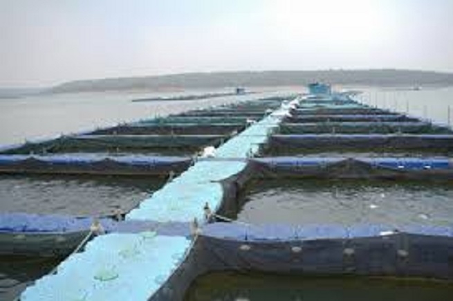 States 1st Aqua Park Hasdeo Bango Reservoir