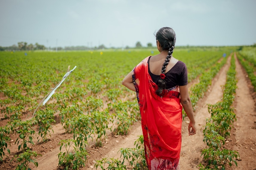  to boost agri sector