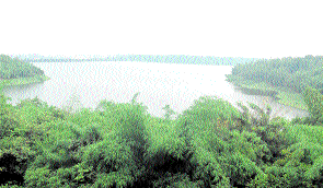 Heavy rain likely to continue