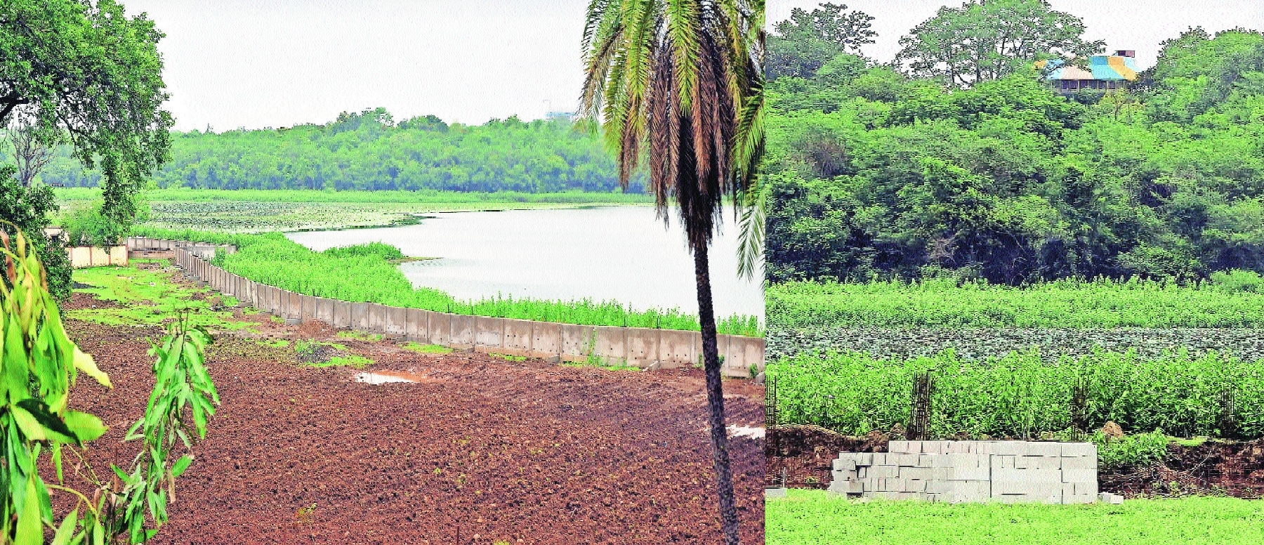 Futala Lake dying a slow death
